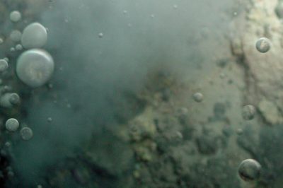 Origin of Life: Early Cells Emerging from Deep-Sea Hydrothermal Springs